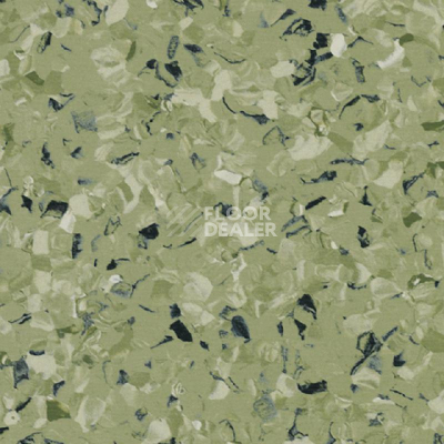 Линолеум Tarkett iq Toro Sc GREEN 0576 фото 1 | FLOORDEALER